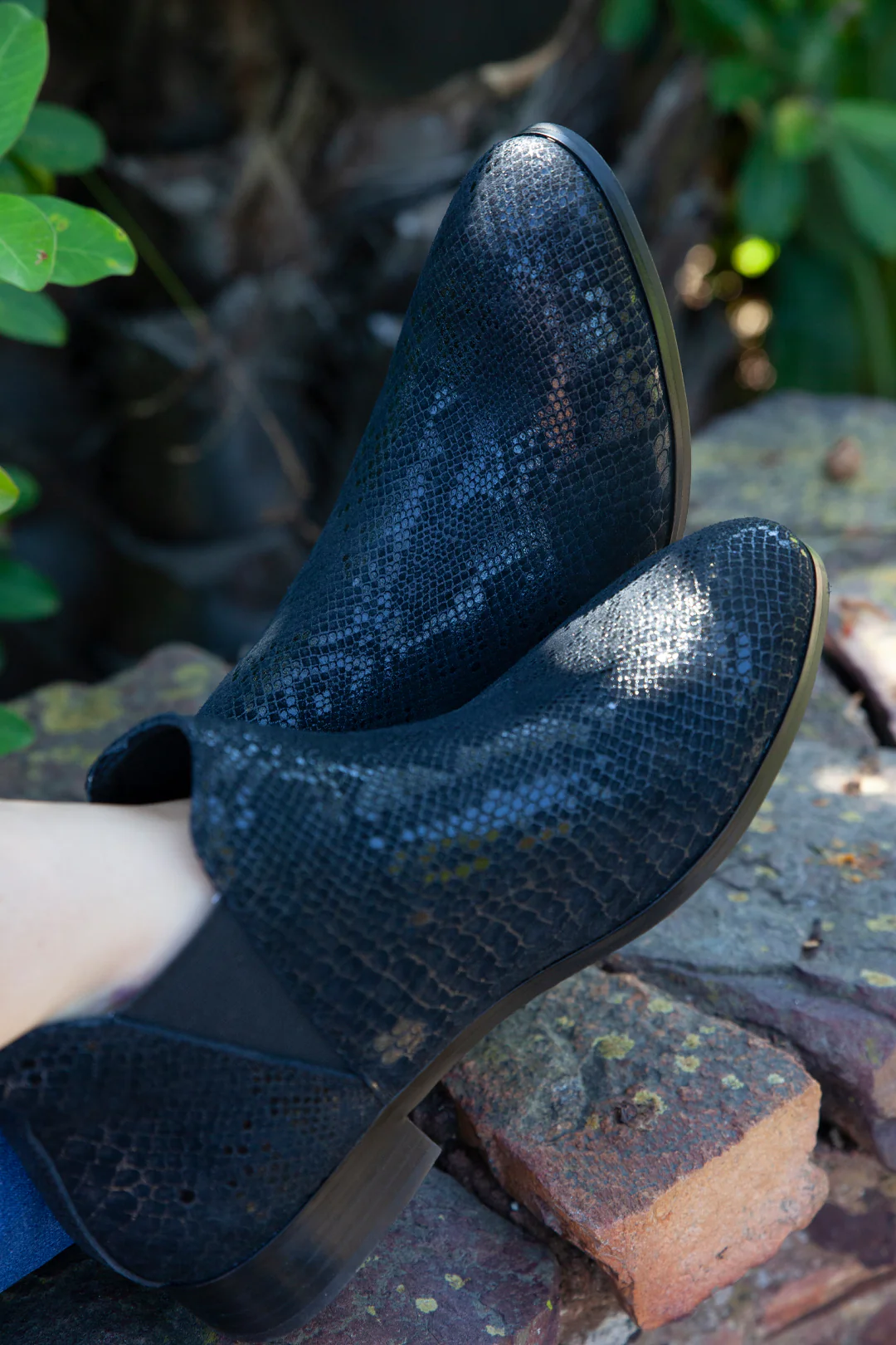 Aria Black Snake - Image 6
