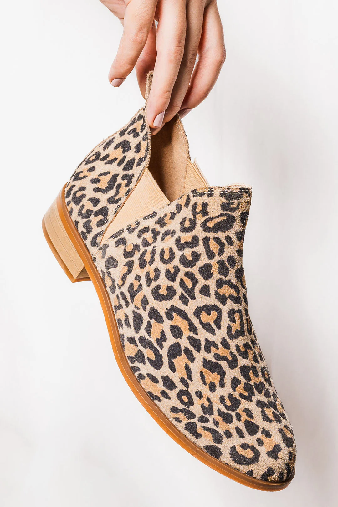 Aria Leopard - Image 4