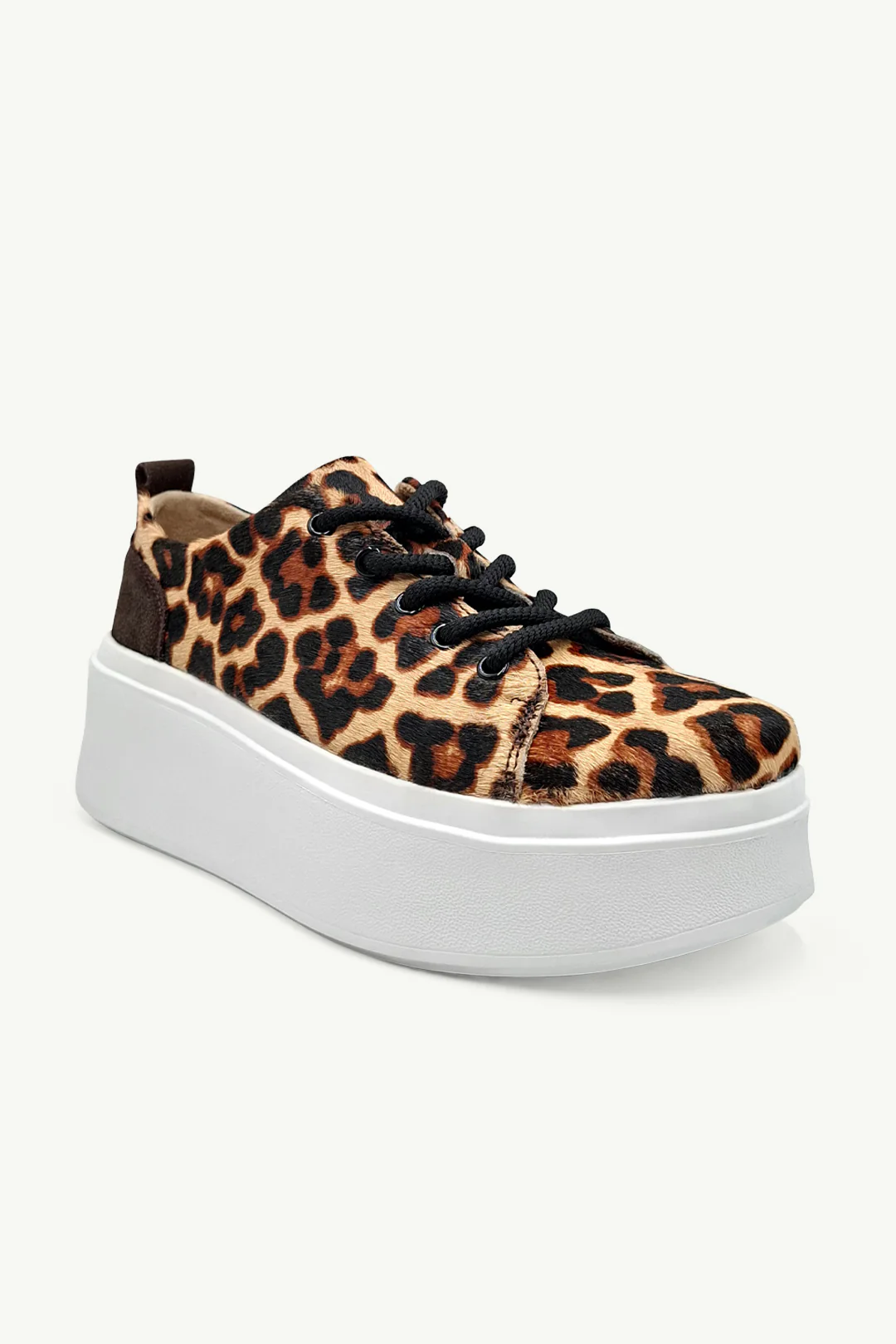 Bari Leopard - Image 2