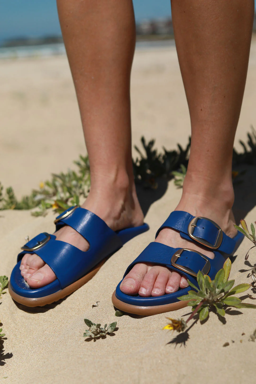 Beckett Catalina Blue - Image 6