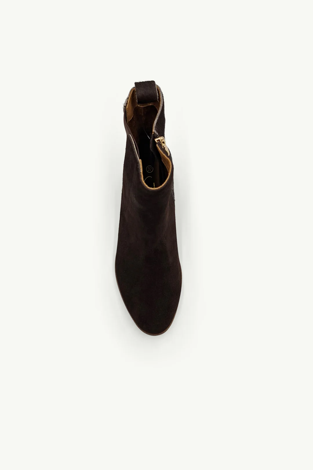 Becky Chestnut - Image 4