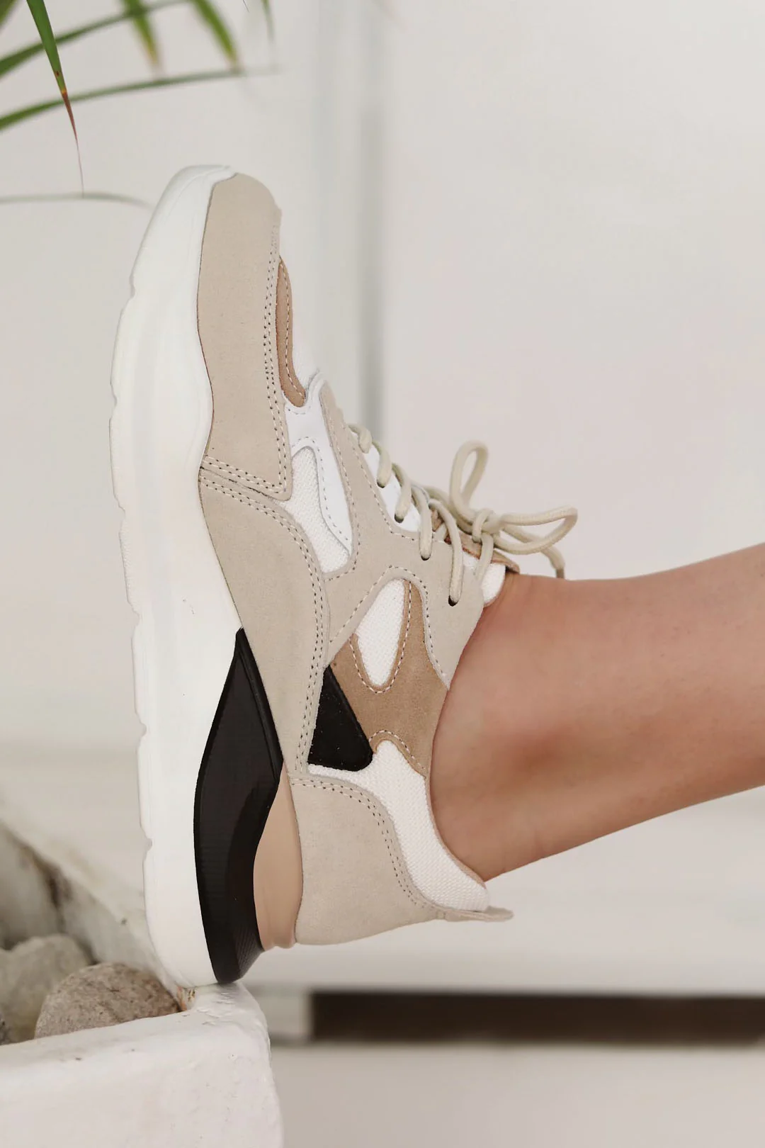 Dara White + Beige - Image 5