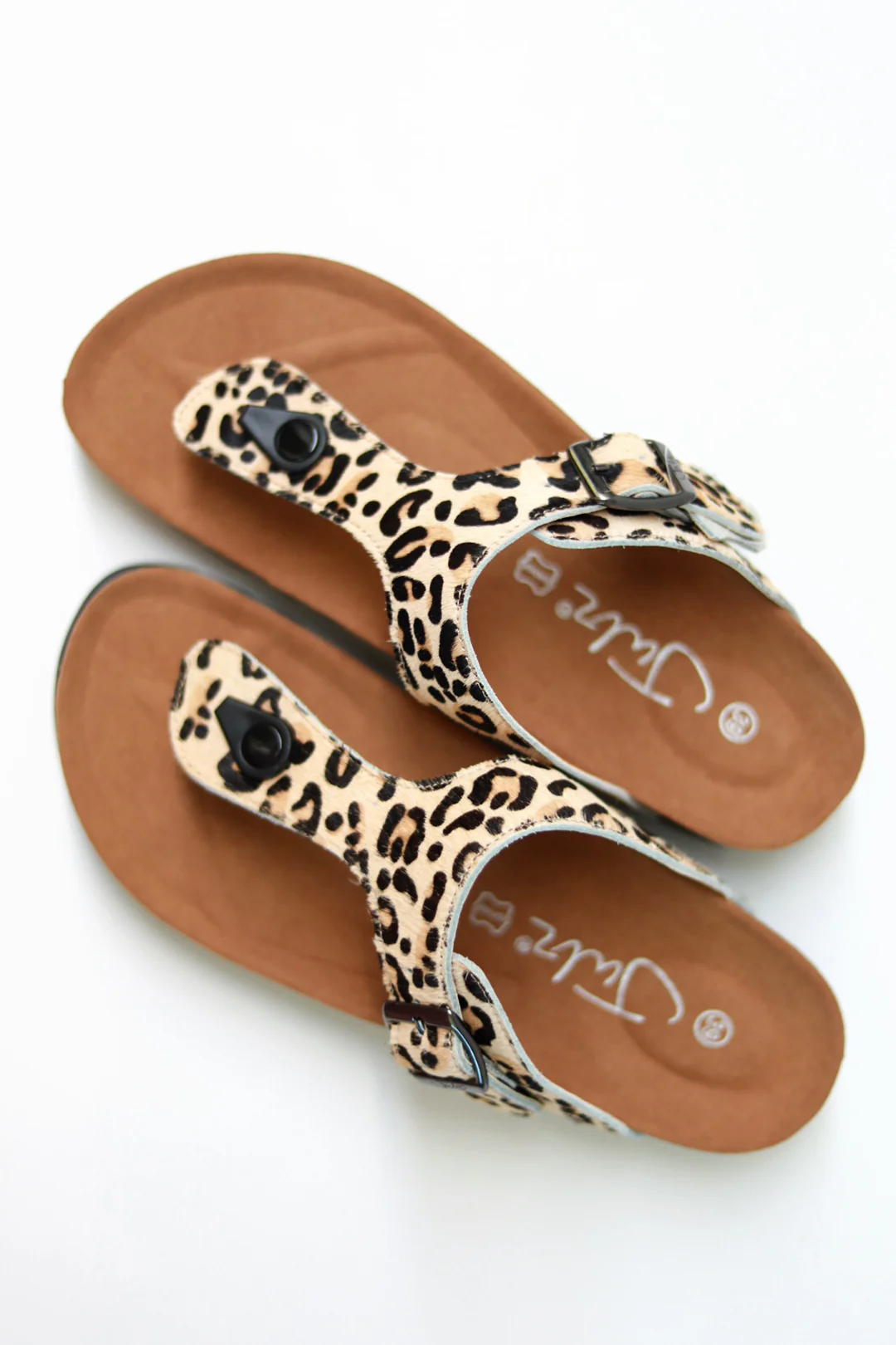 Jason Leopard - Image 4