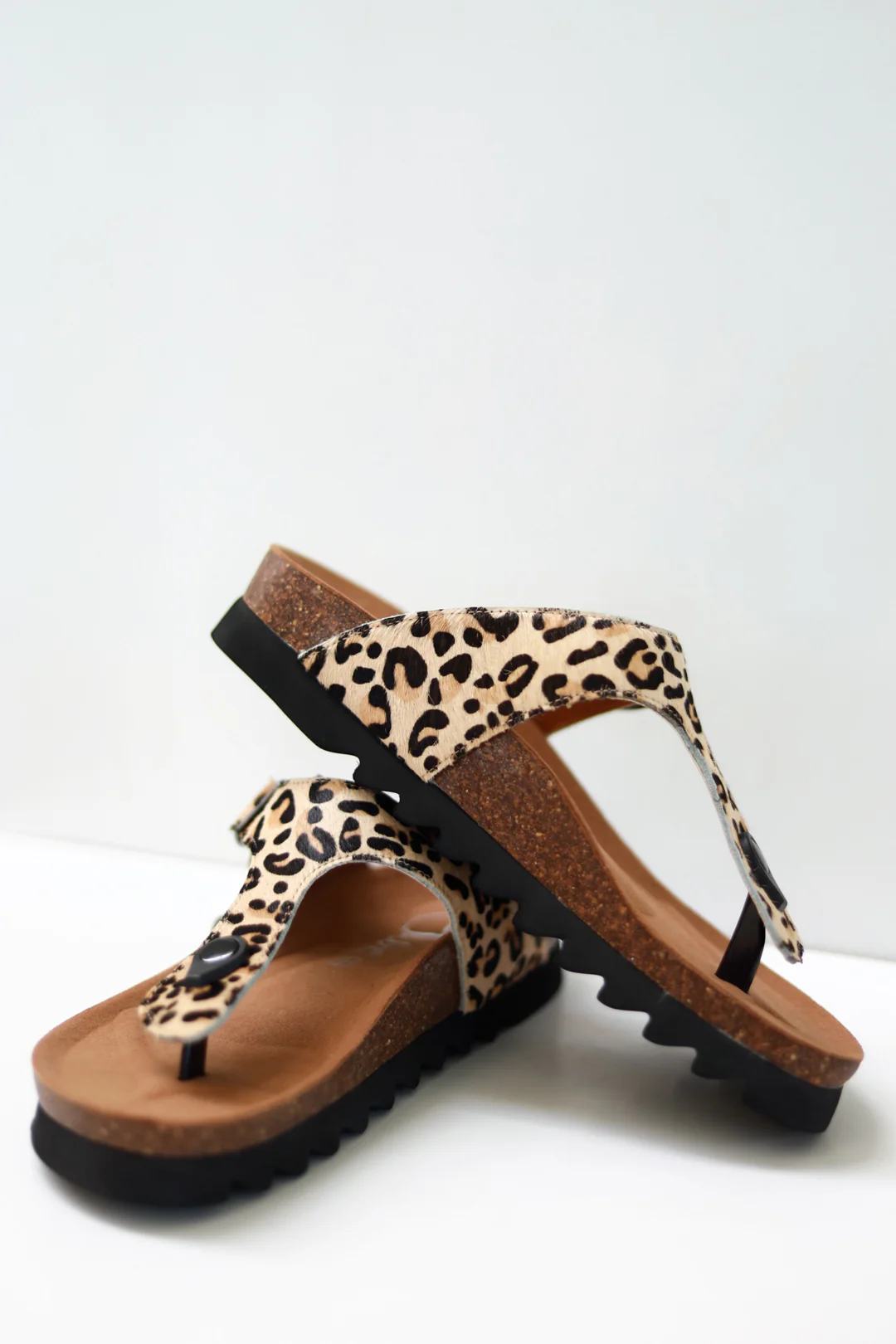 Jason Leopard - Image 5