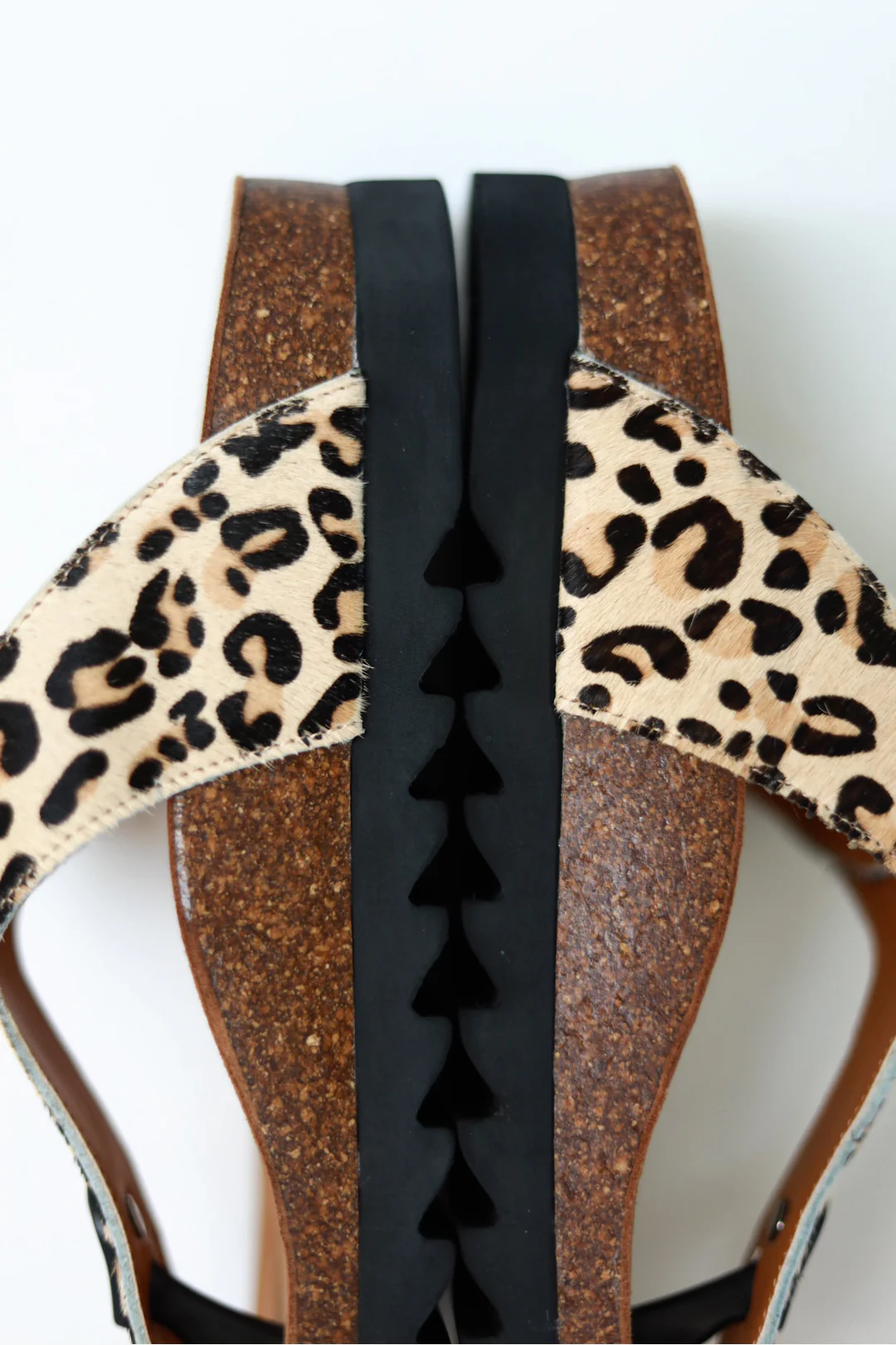 Jason Leopard - Image 7