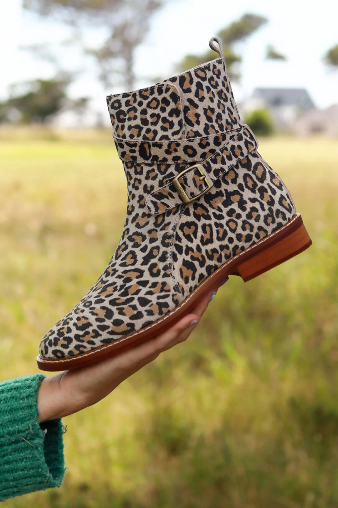 Maya Leopard - Image 5