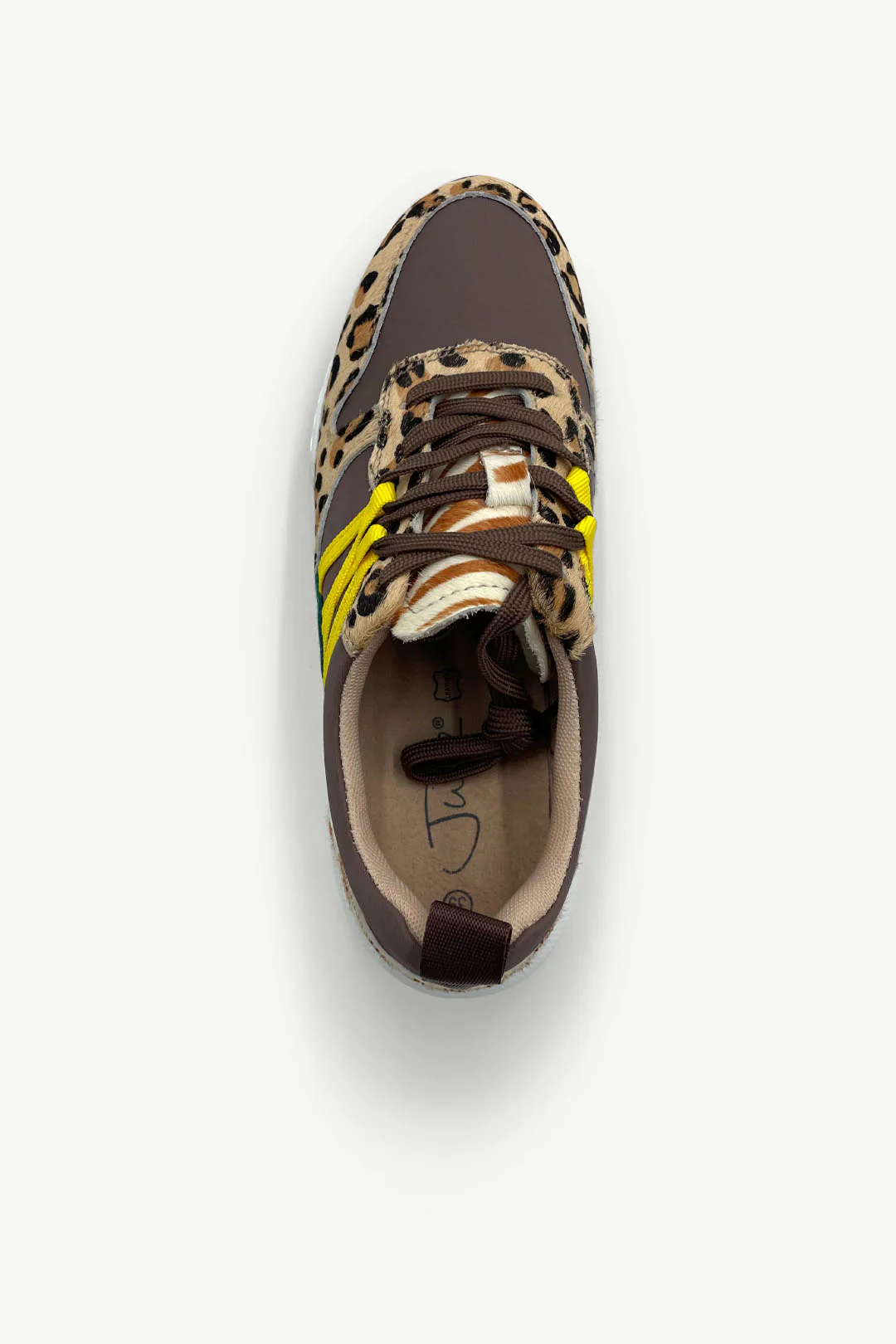 Wade Brown, Leopard + Yellow - Image 4